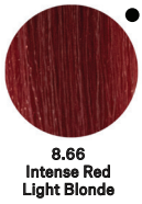 REF Permanent Colours REDS