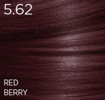 ASP INFINITI RED MAHOGANY SHADES 100ML 3.5OZ