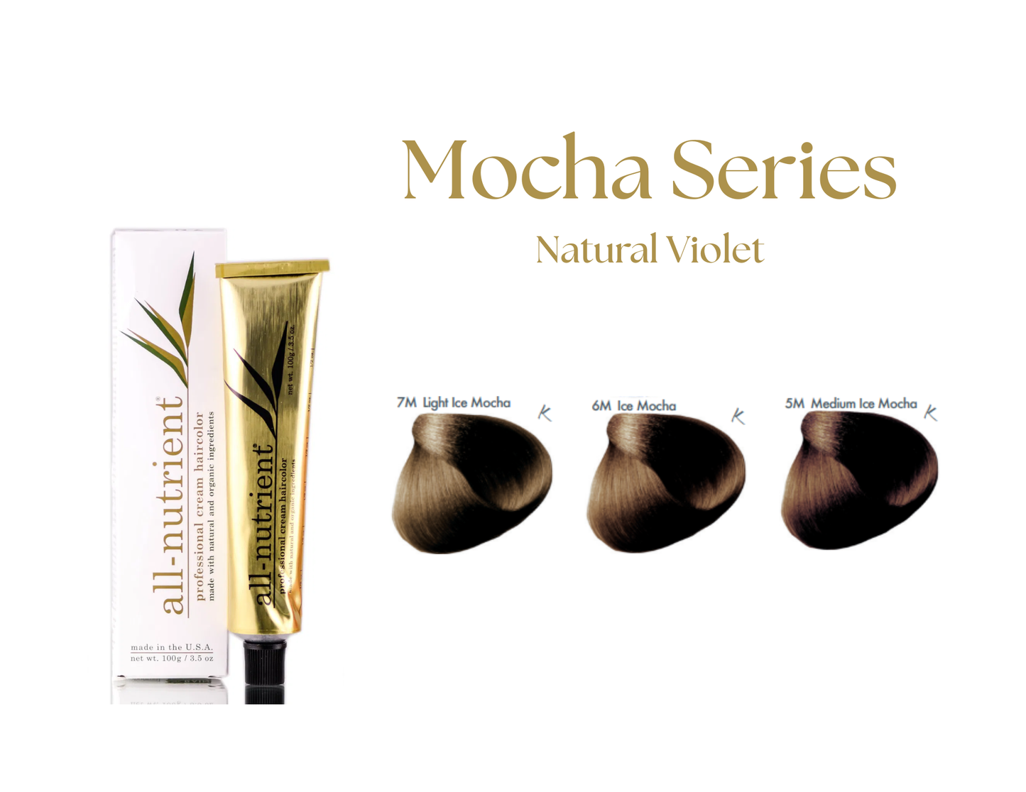 ALL-NUTRIENT ICE MOCHA SERIES