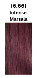 INSIGHT Incolor Aura Warm