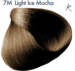 ALL-NUTRIENT ICE MOCHA SERIES