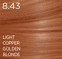 ASP INFINITI COPPER/INTENSE COPPER  SHADES 100ML 3.5OZ