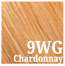 SURFACE Pure Color Warm Gold