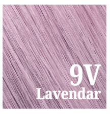 SURFACE Pure Color Violet